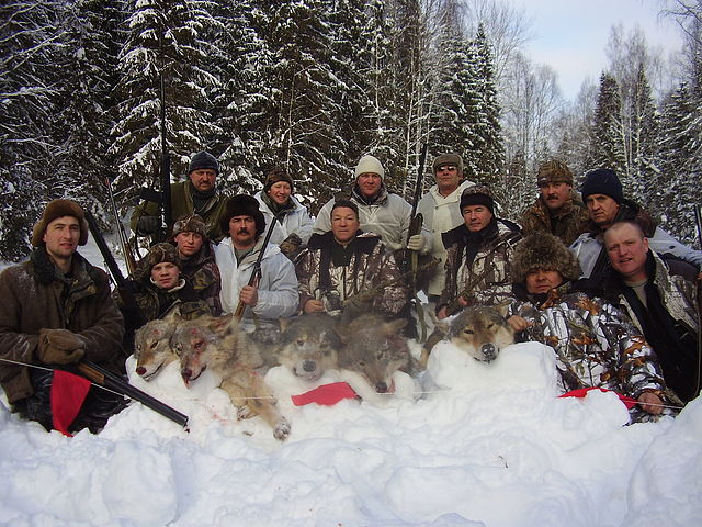 закон украины про охоту и охотничье хозяйство
