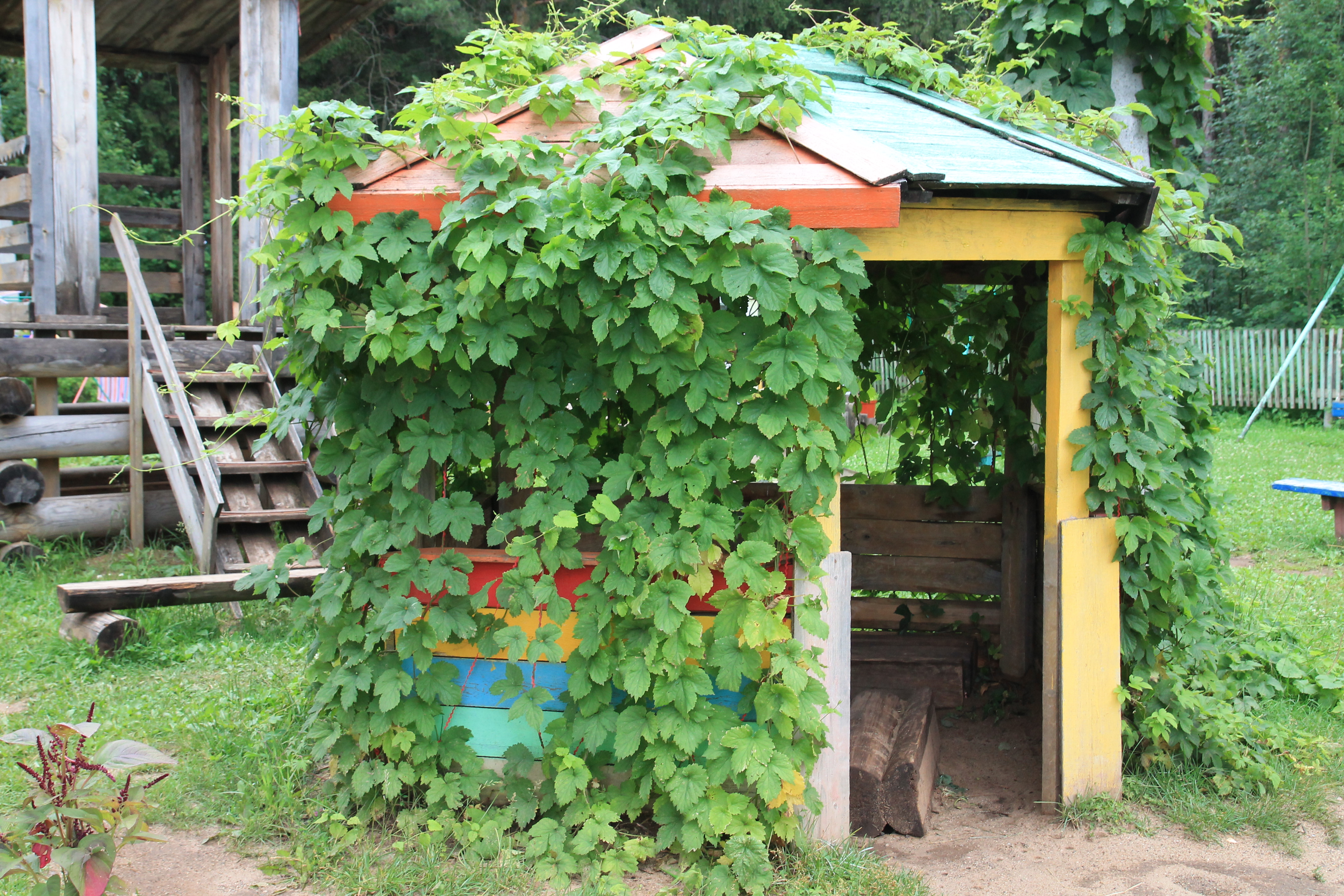 Спасо-Талцкий детский дом Кировская область, дети-сироты, фото детский дом