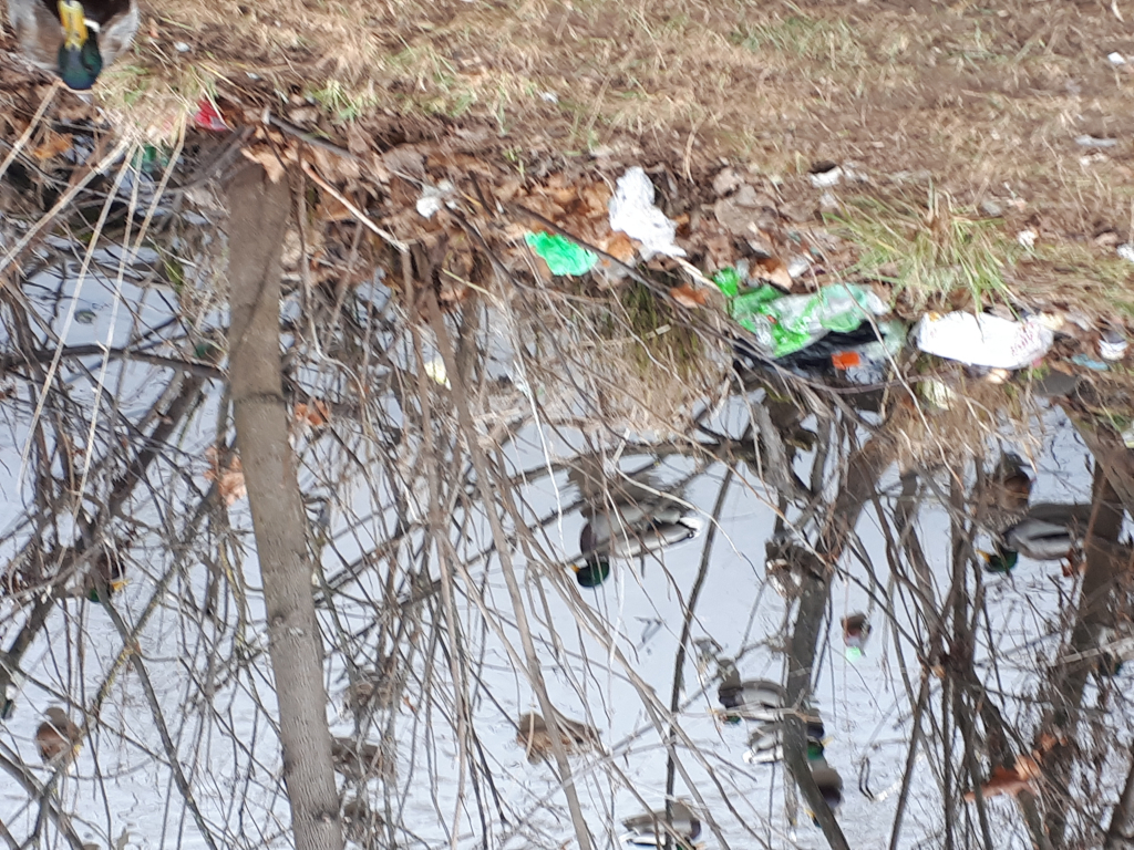 Изображение к жалобе