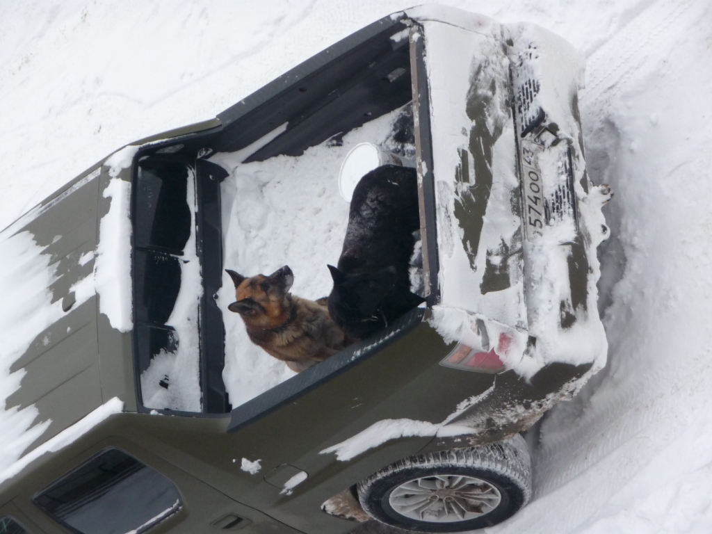 Изображение к жалобе