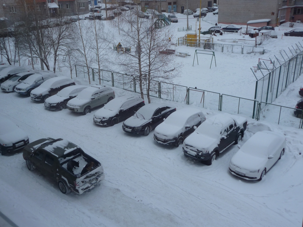 Изображение к жалобе