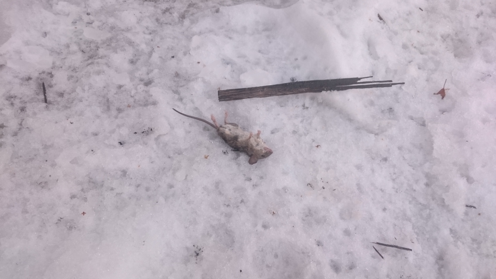 Изображение к жалобе