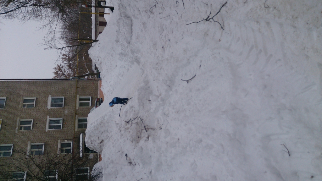 Изображение к жалобе