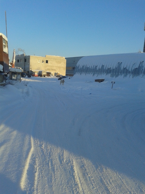 Изображение к жалобе