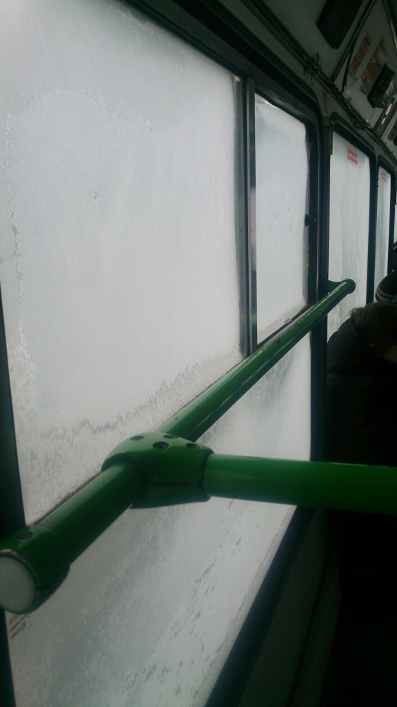 Изображение к жалобе