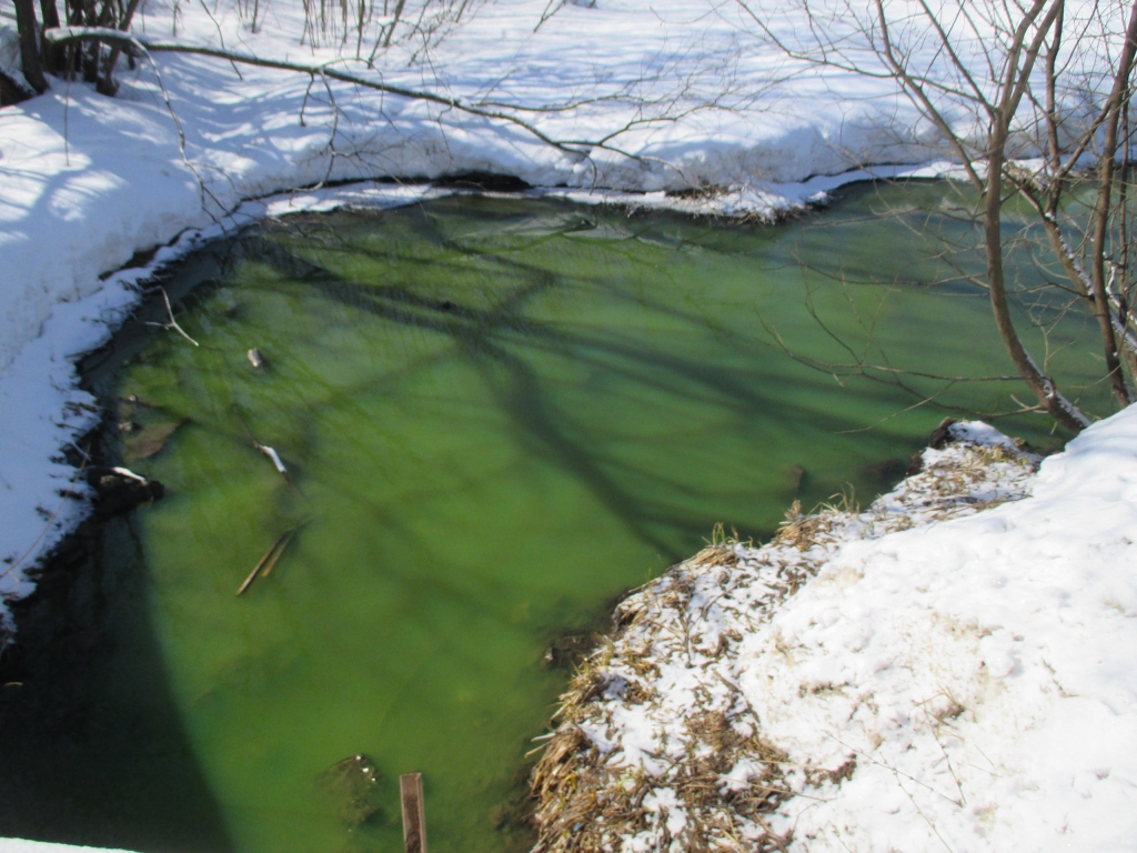 Изображение к жалобе