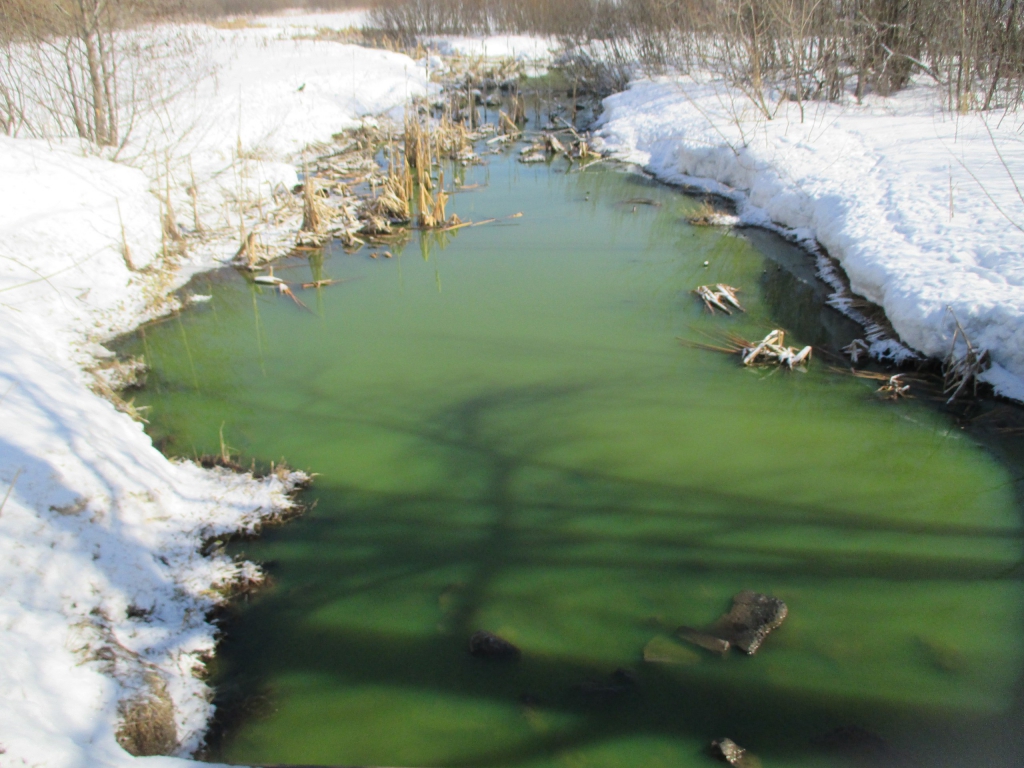 Изображение к жалобе