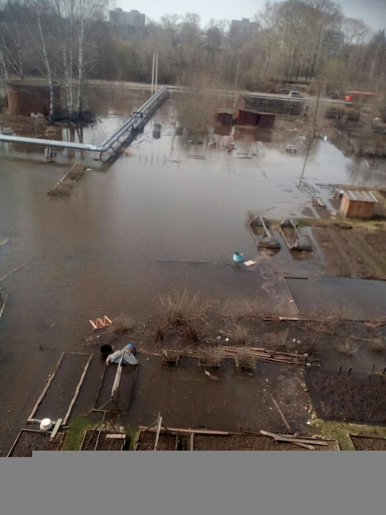 Изображение к жалобе