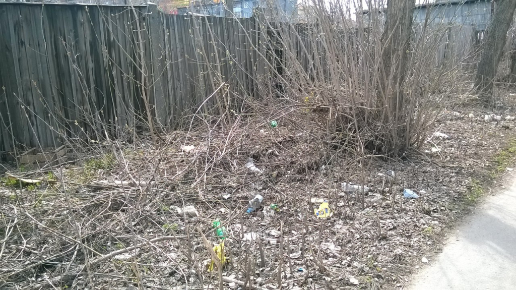 Изображение к жалобе