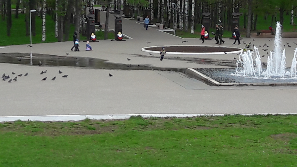 Изображение к жалобе