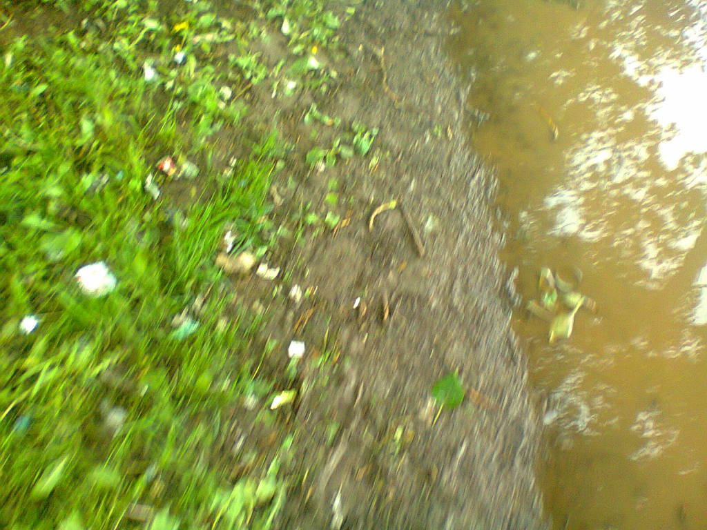 Изображение к жалобе