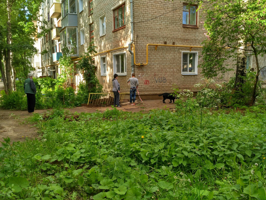 Изображение к жалобе