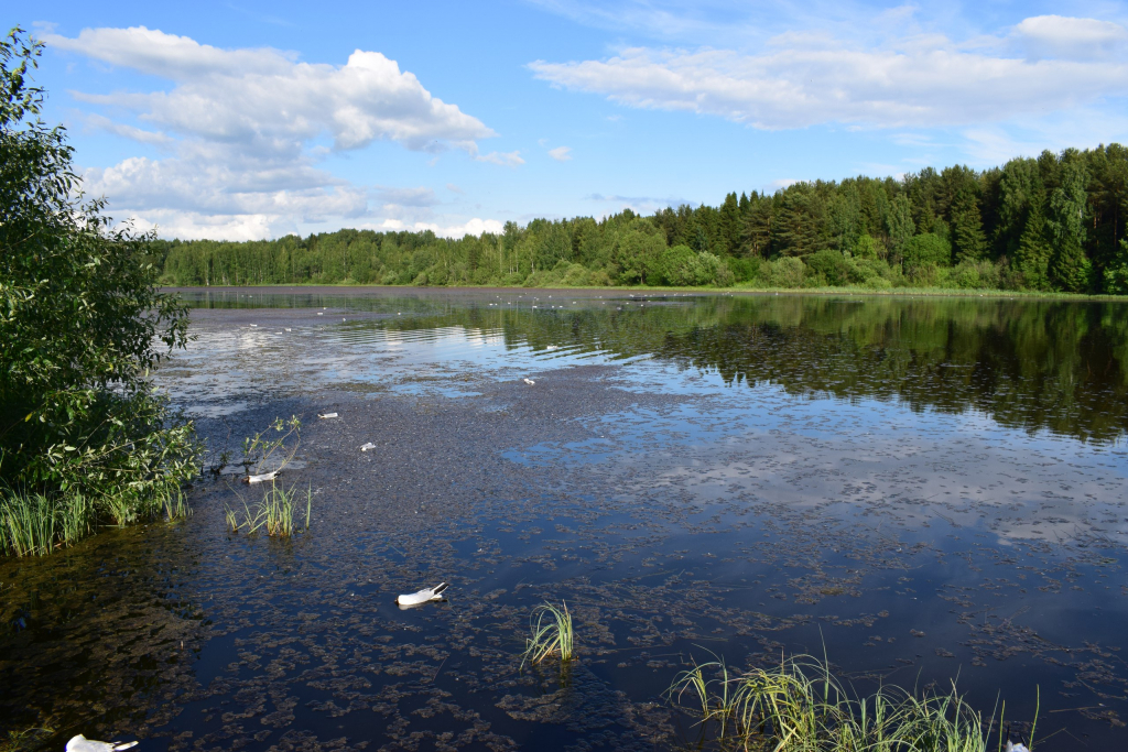 Изображение к жалобе