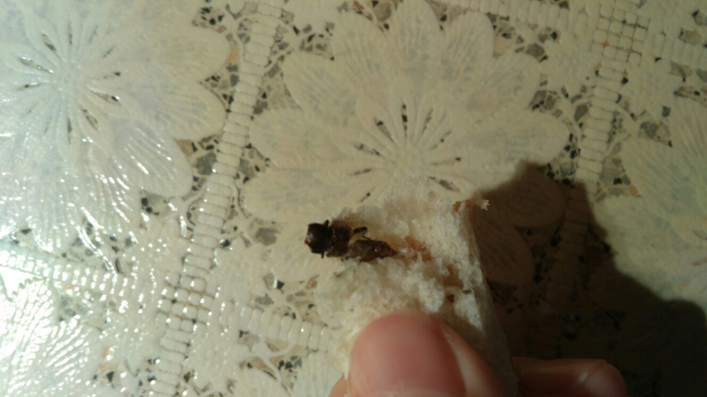 Изображение к жалобе