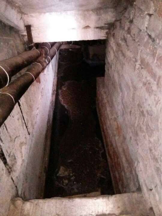 Изображение к жалобе