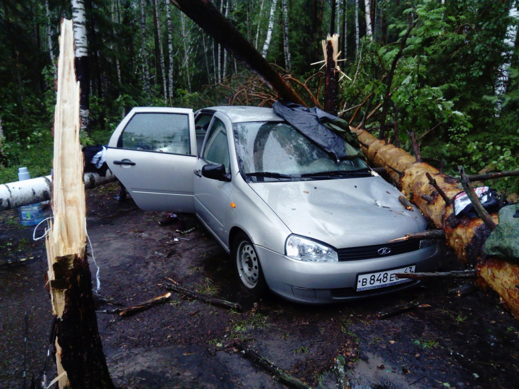 Изображение к жалобе