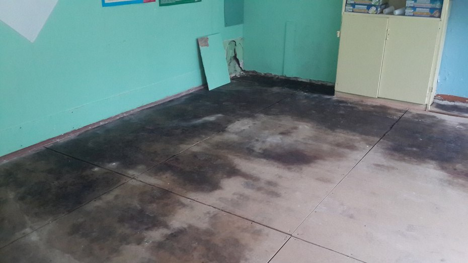 Изображение к жалобе