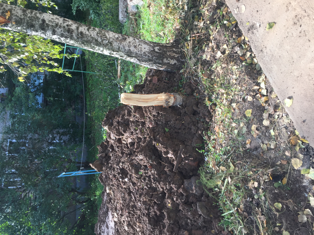 Изображение к жалобе