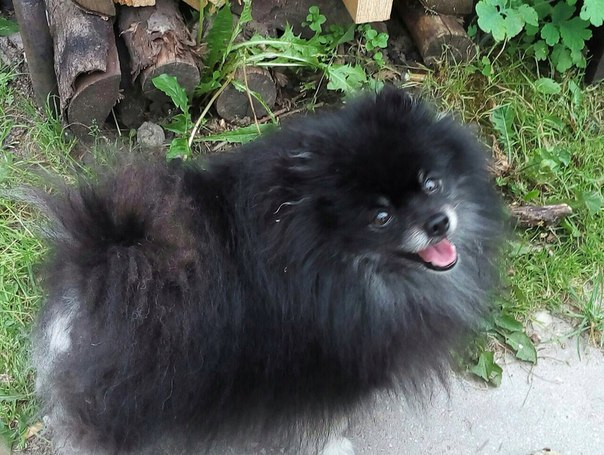 Изображение к жалобе