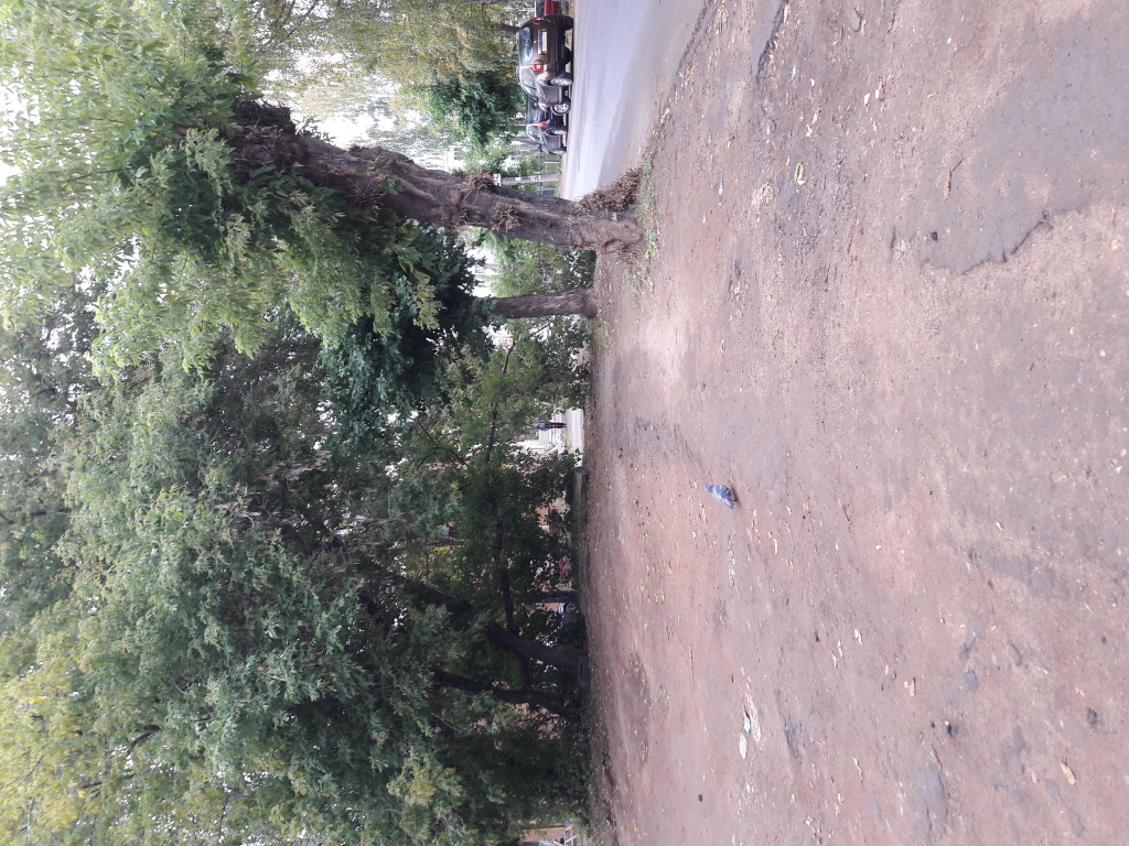 Изображение к жалобе