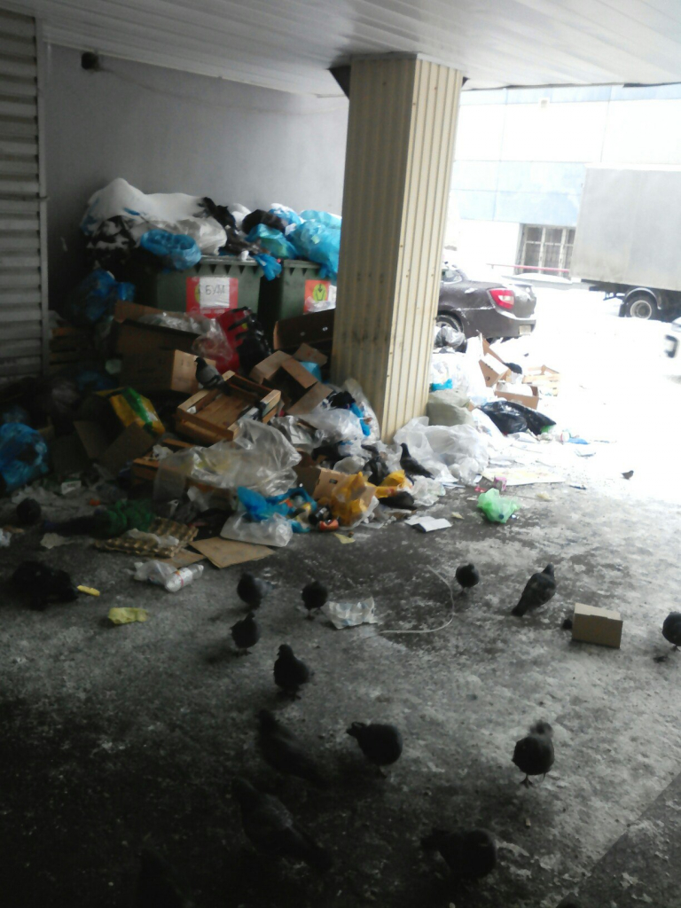 Изображение к жалобе