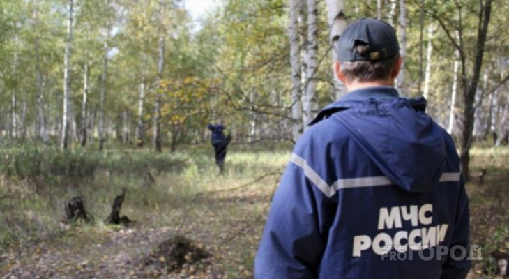 В Кировской области за три дня без вести пропали 29 человек