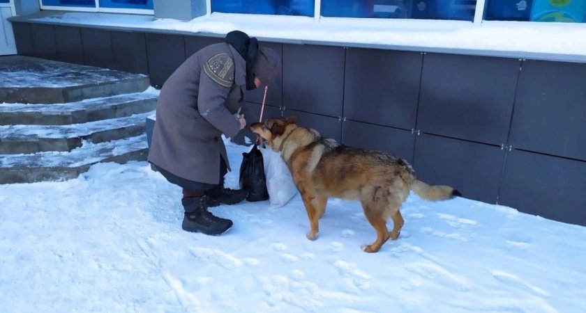 В Кирове бездомной бабушке с собакой помогают восстановить документы и пенсию