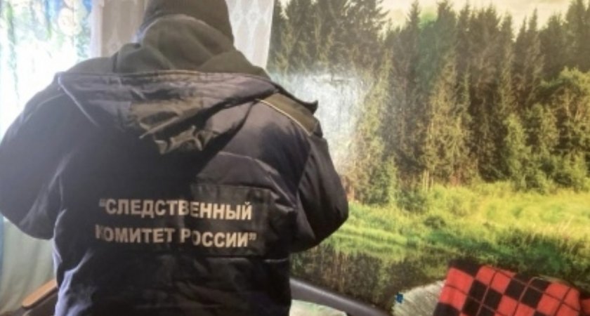 Житель Кировской области забил до смерти месячную дочь