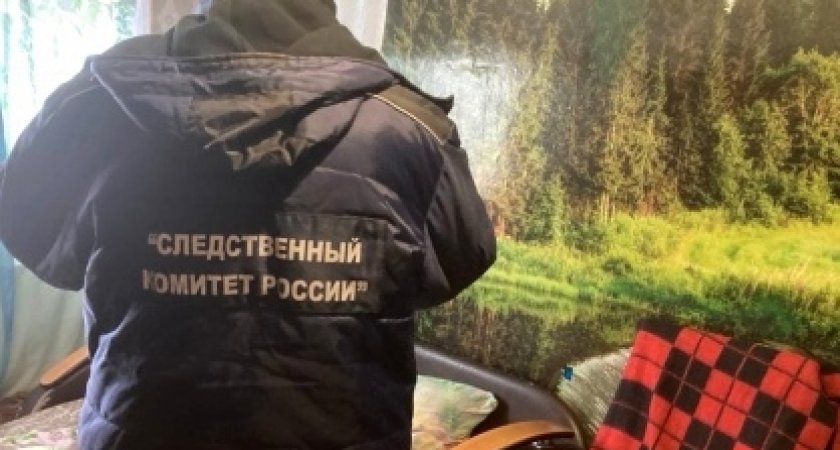 Вонзила нож в сердце: в Кирово-Чепецком районе женщина убила своего мужчину