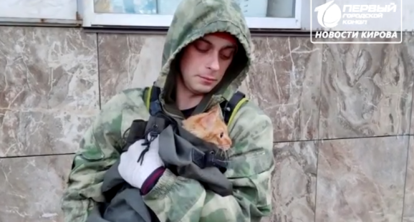 Кировчанин спас кота, который выпал из окна 5 этажа