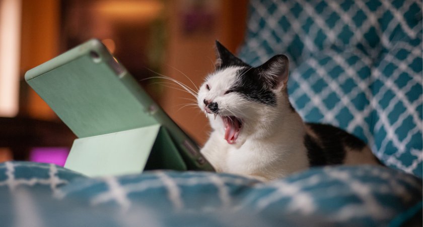 Львы заскучают, а Скорпионы вымотаются: гороскоп на 13 марта