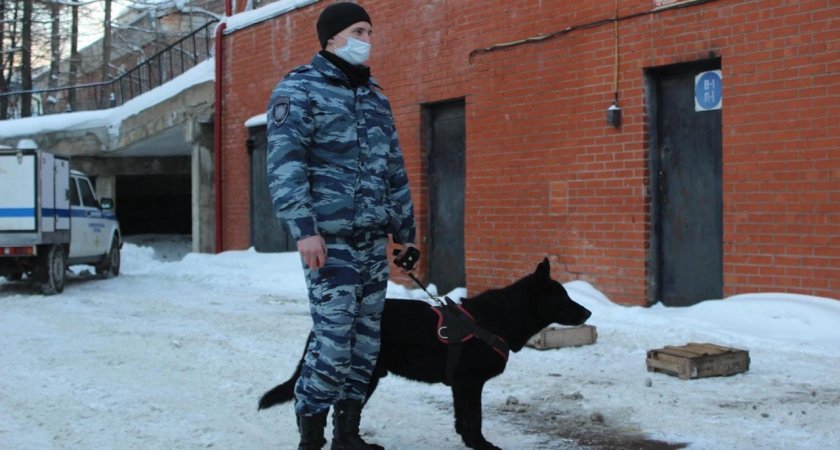 В Кирове полиция поймала двух подростков с тридцатью граммами наркотиков