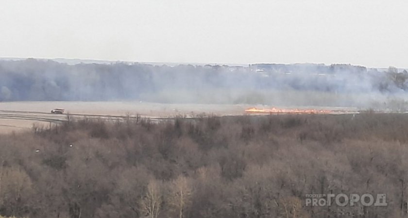 В Кировской области из-за неосторожности жителя загорелись 6 соток травы
