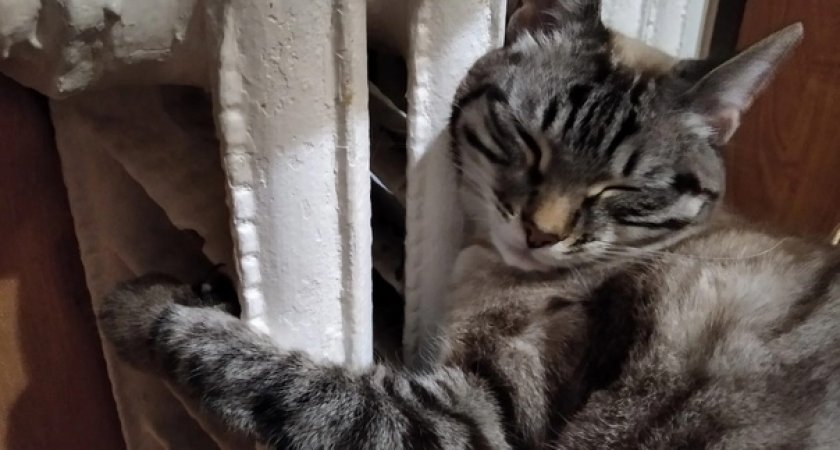 Пятого мая в Кирове закончится отопительный сезон