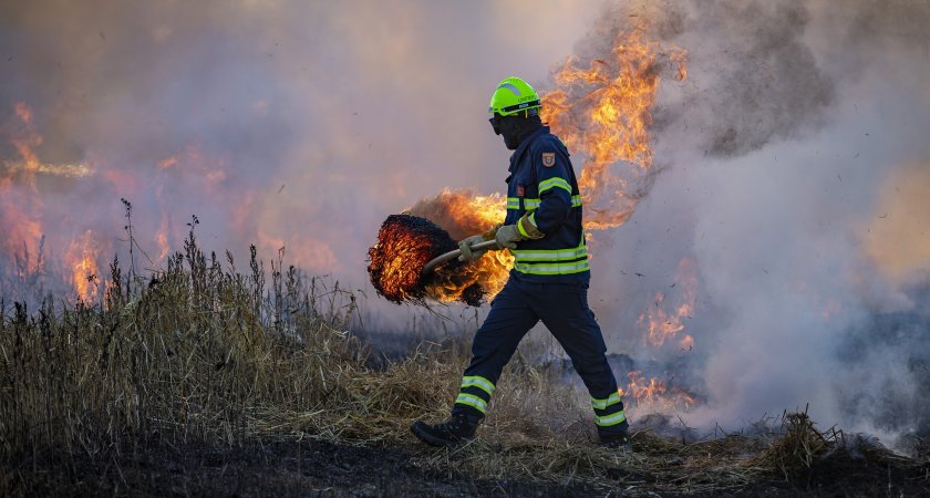 В Кировской области потушили крупный лесной пожар