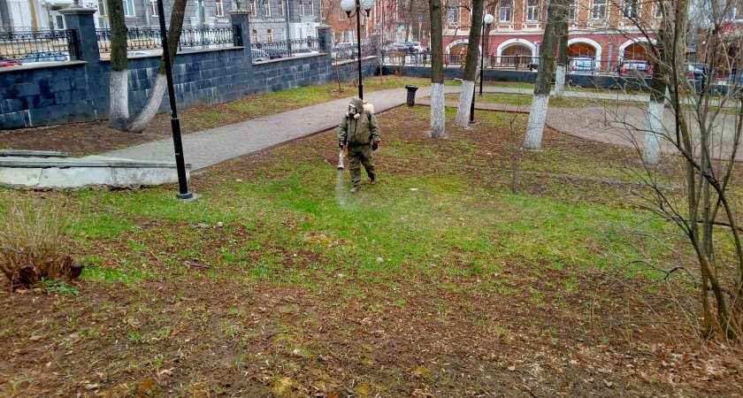 В Кирове общественные территории обрабатывают от клещей эффективным средством
