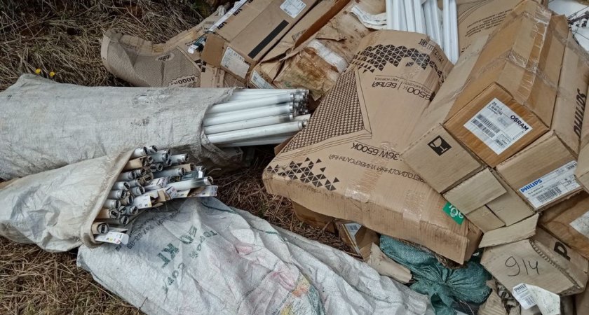 Возле деревни в Слободском районе обнаружили свалку ртутных ламп