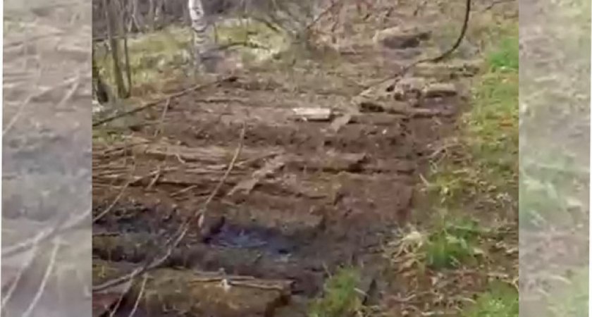 В Кировской области обнаружена речка из нефтепродуктов