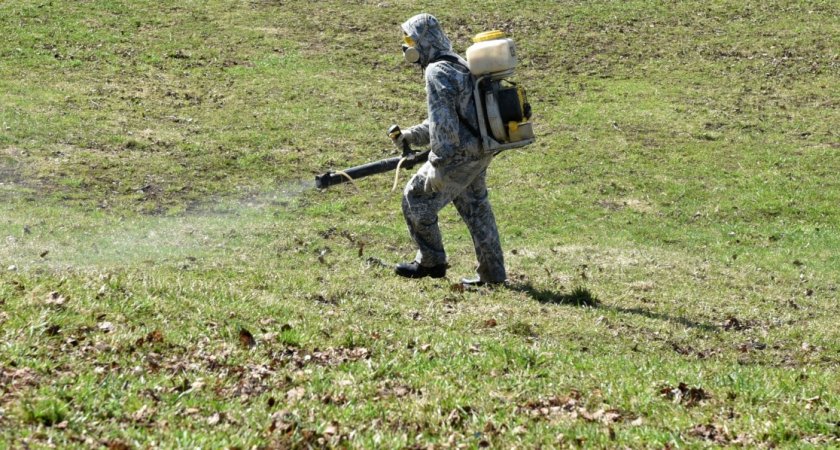 650 тысяч рублей потратят на обработку кировских кладбищ от клещей