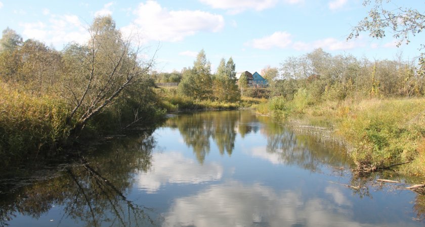 В Кировской области на реке утонула девочка