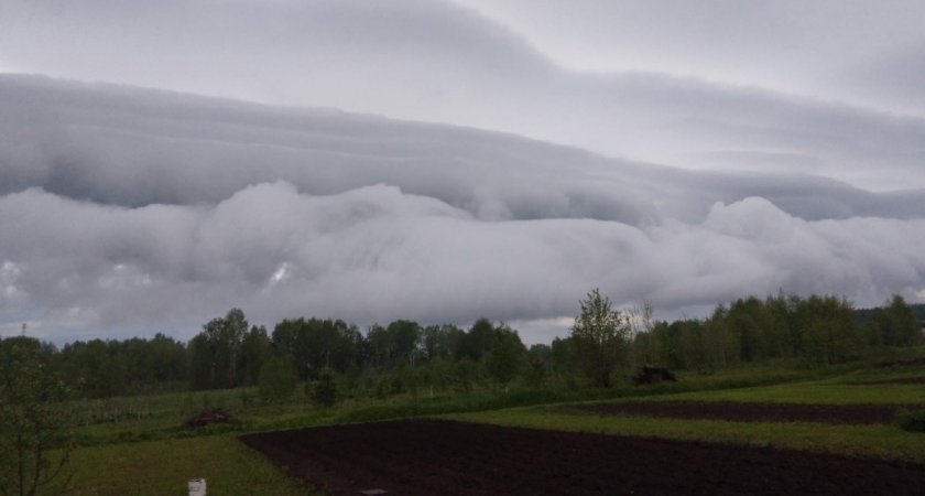 В Кировской области сфотографировали необычные облака