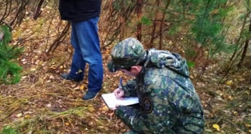 В Кировской области в лесу нашли человеческие останки