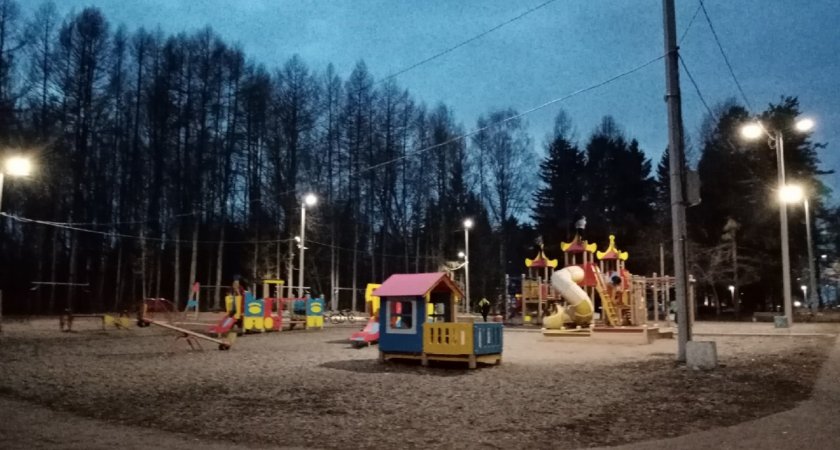 В Кировской области полицейские за 12 часов нашли похитителя детских качелей