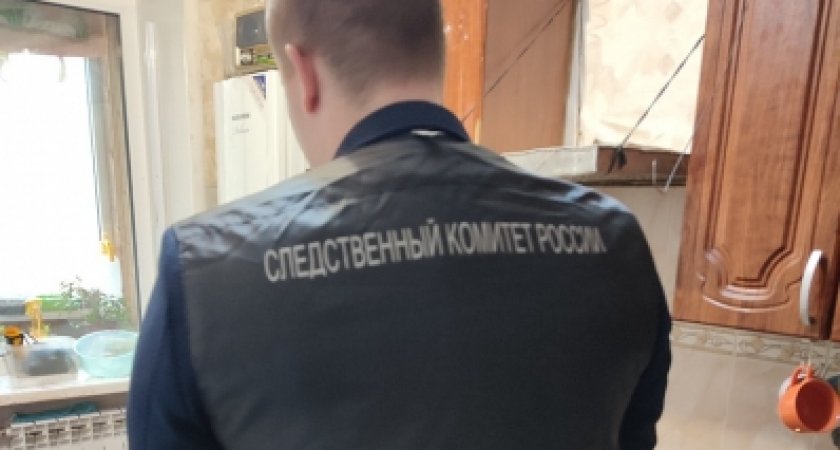 В Кировской области мать пырнула ножом 21-летнего сына 