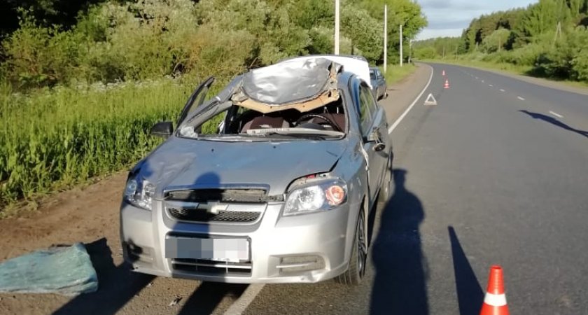 В Кировской области столкнулись иномарка и лось: погибли пассажир и животное