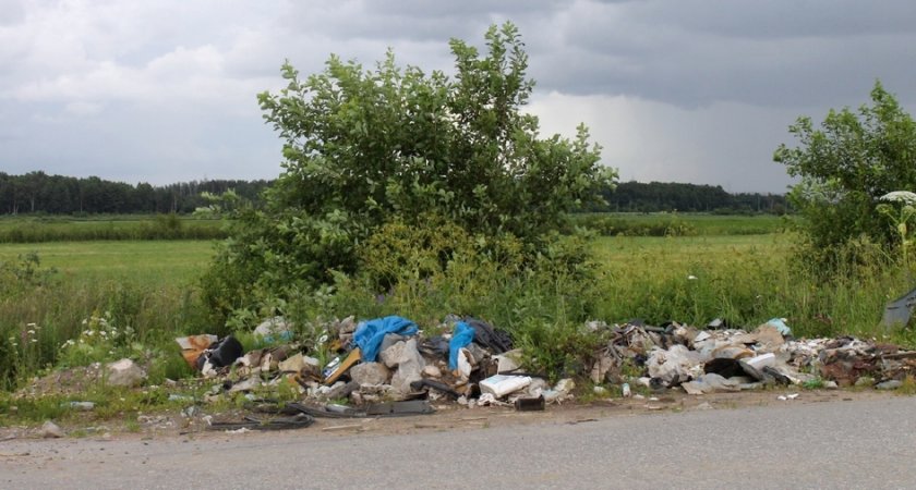 За выброс мусора из машины теперь могут конфисковать автомобиль