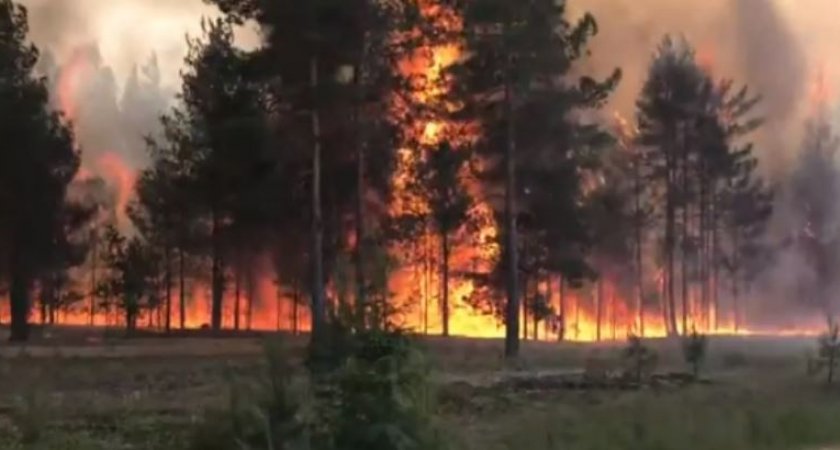 В Кировской области ожидается высокая пожарная опасность