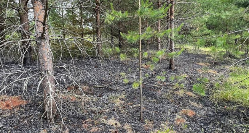 Из-за сильной грозы в Кировской области пострадала машина и сгорели несколько домов