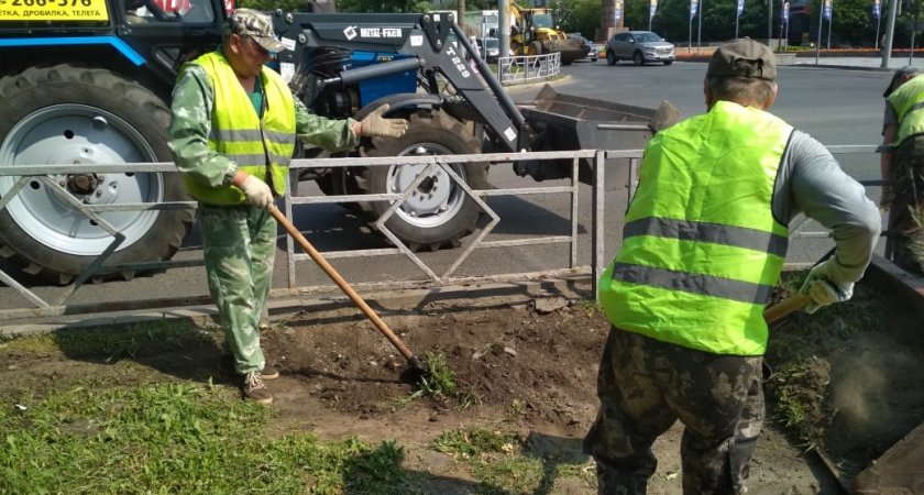 В Кирове начали срезать газоны