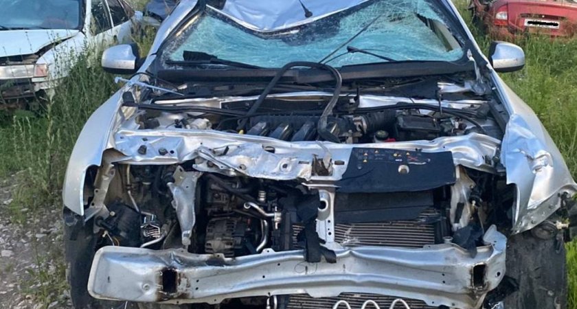 В Кировской области при столкновении с лосем смяло кроссовер